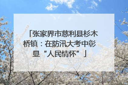 张家界市慈利县杉木桥镇：在防汛大考中彰显“人民情怀”